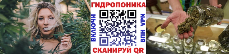 Канабис Amnesia  omg сайт  Бокситогорск 